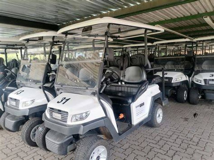 Does pretoria zoo have golf carts?
