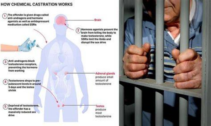 In castration what is removed?