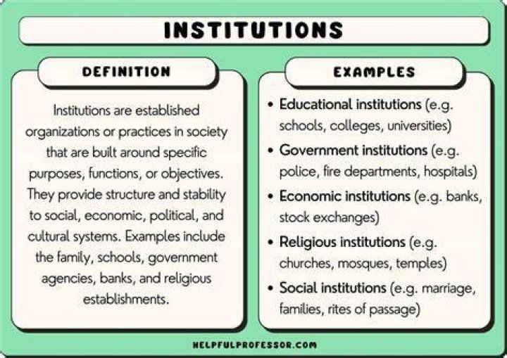 What does institution mean for college?