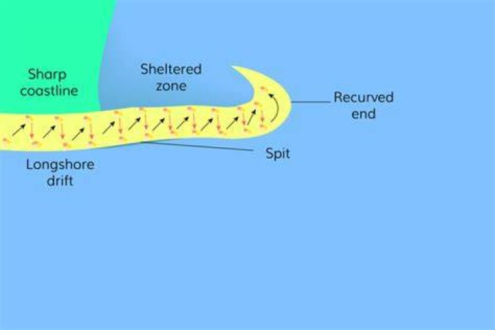 What is a recurved spit?