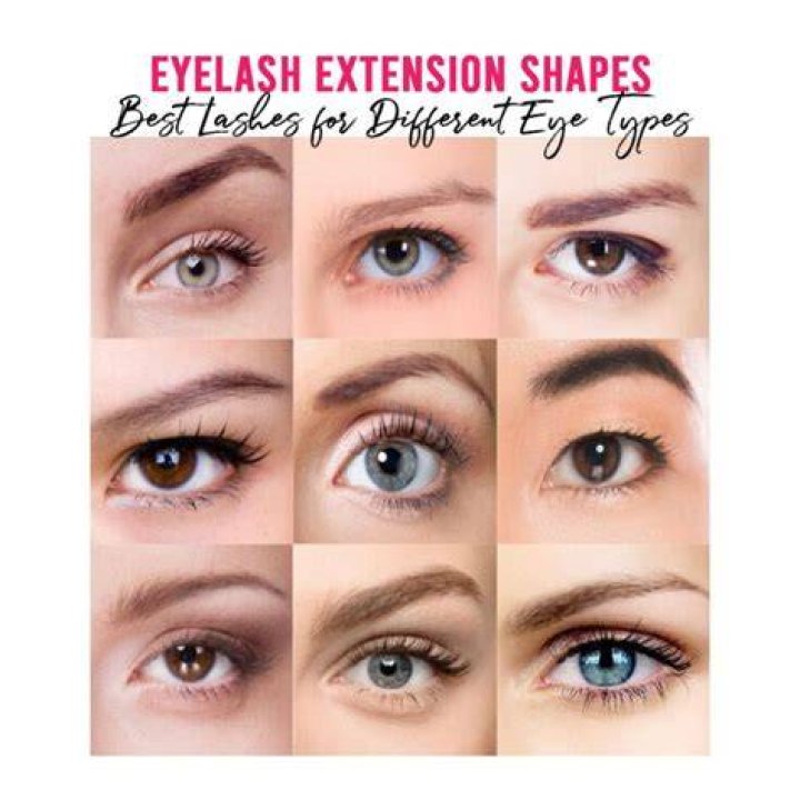 What is eye lash?