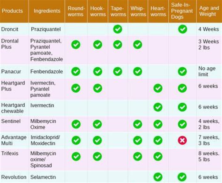 When do dog wormers work?