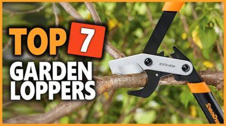 Which best garden loppers?