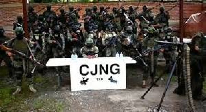 Which cartel controls guanajuato?