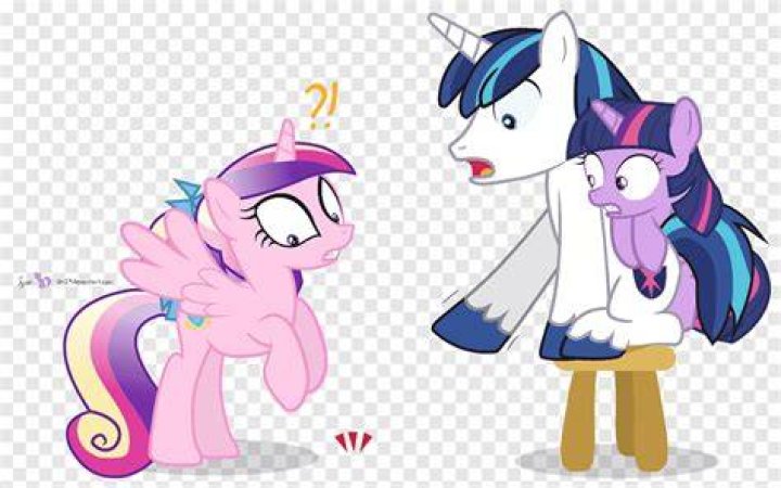 Who does twilight sparkle marry?