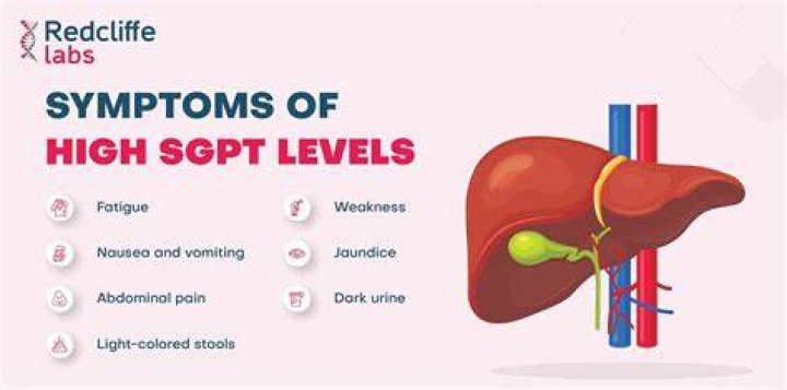Why sgpt is high?